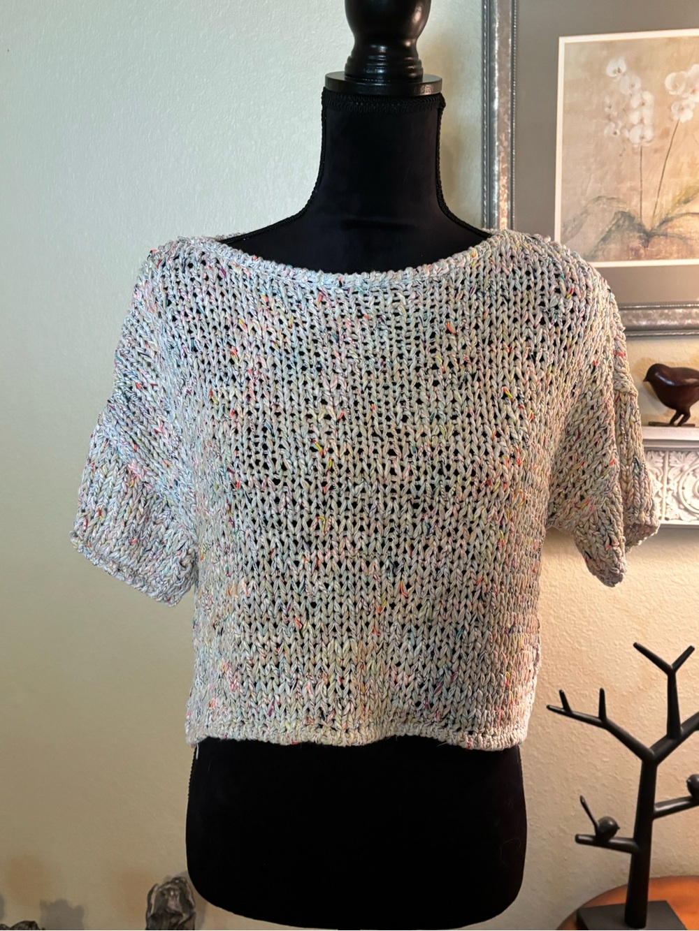 Free People Cropped Knit Top with Confetti Colored Flecks